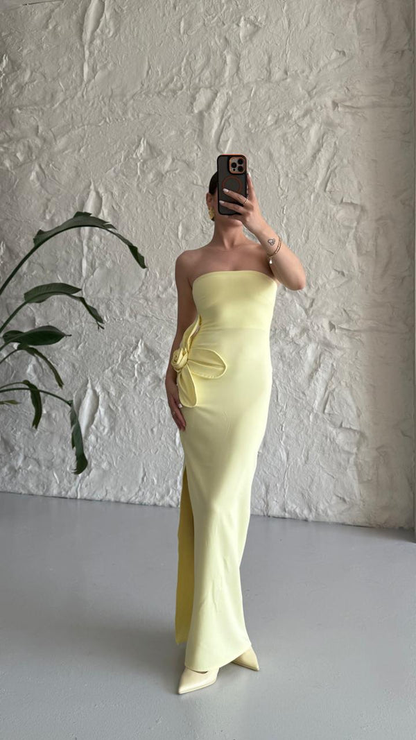 Dress 2605 - HANGER