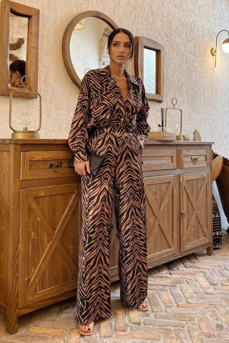 2pcs zebra set D