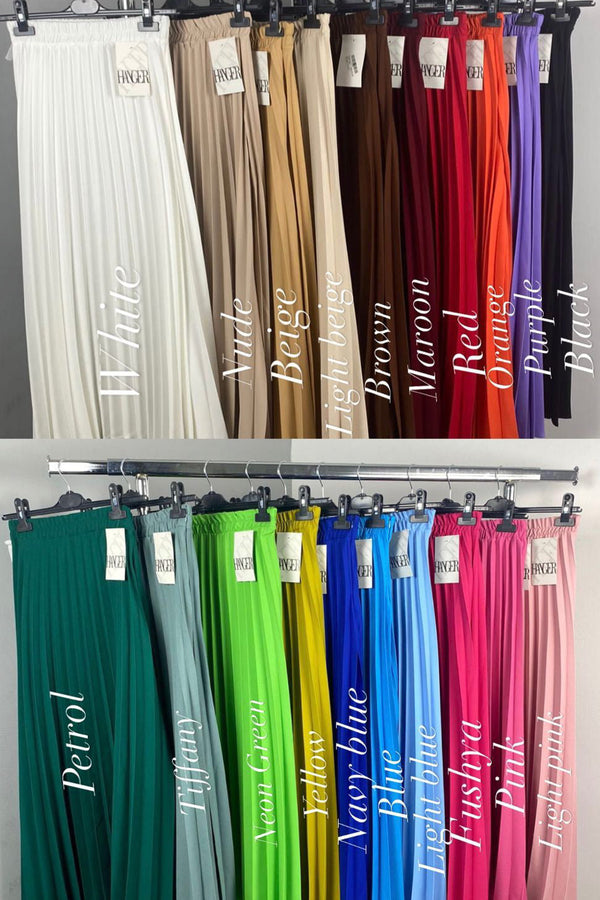 Pleated long skirt D - HANGER