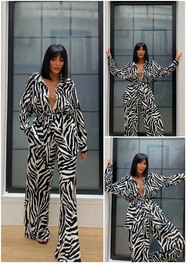 2pcs zebra set D - HANGER